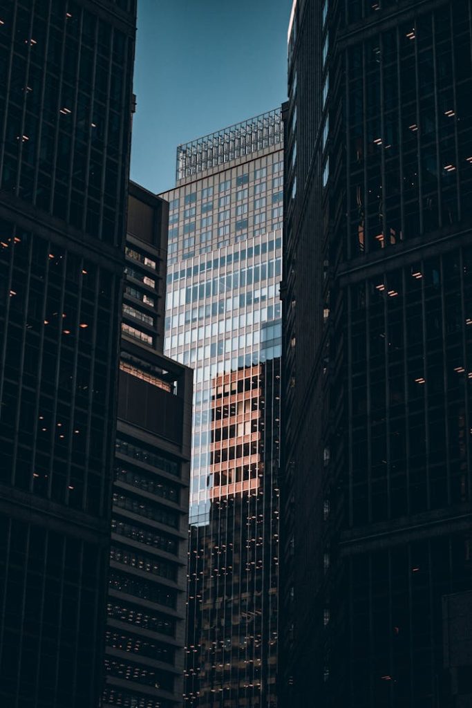 Pexels Photo 29410276 683x1024