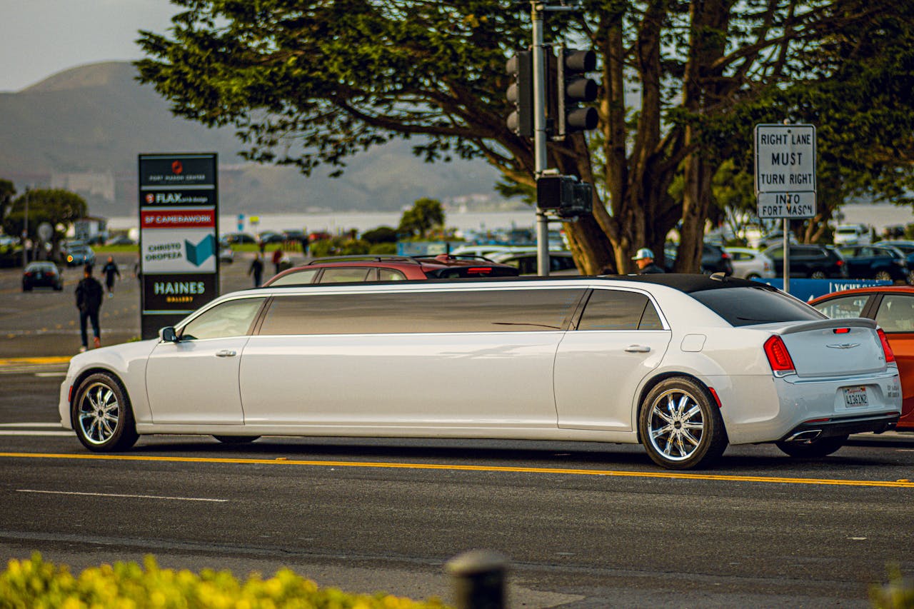 Pexels Photo 33535299 1